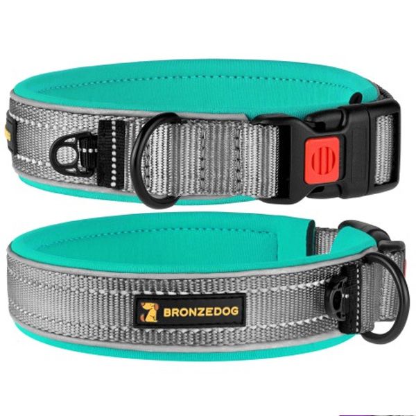 Нашийник з неопрену світловідбиваючий Бірюза 25мм (51-59см)