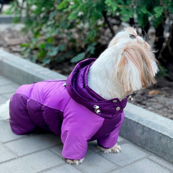 Комбінезон Волошка силікон (дівчинка) XXS