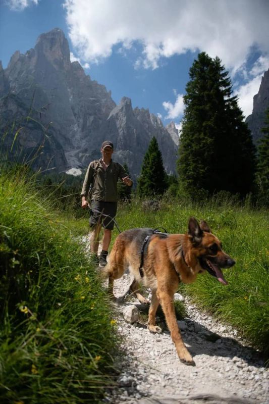 Шлейка для собак Line harness grip Non-stop dogwear Чорний 7