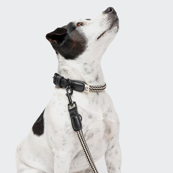 Нашийник для собак Cloud7 Mauerpark Чорний S