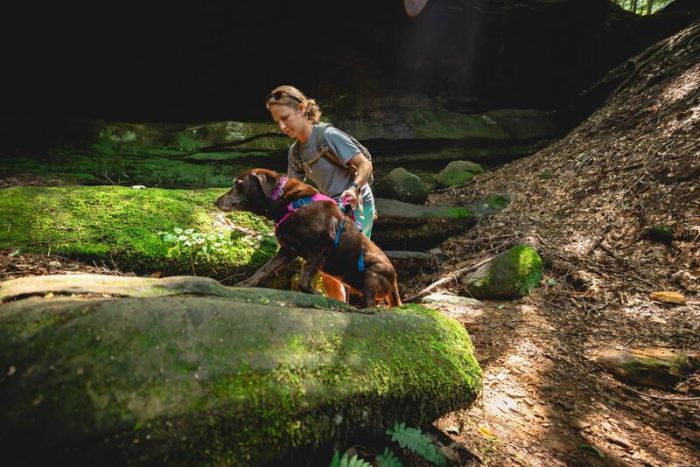 Легка шлейка для собак Ruffwear Flagline™ XS 43-56 см Малиновий