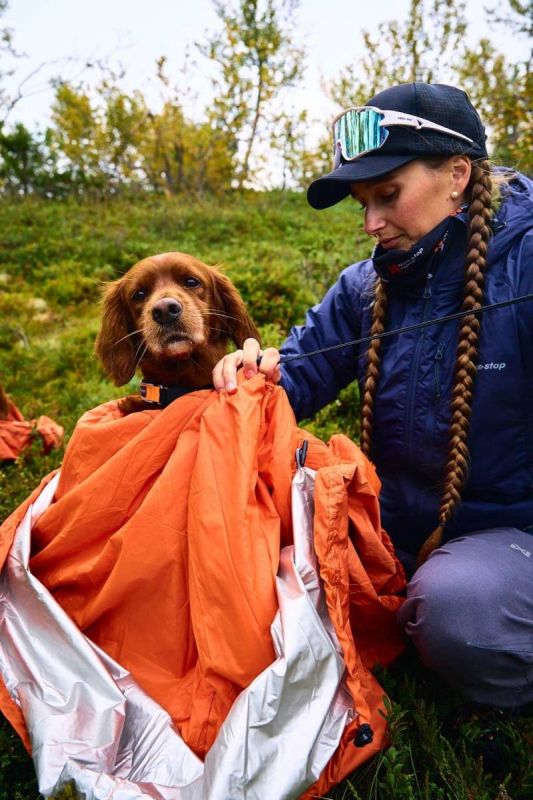 Спальний мішок для собак Bivvy bag Non-stop dogwear Помаранчевий M