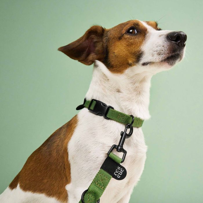 Повсякденний повідець для собак Cloud7 Rescue Basic Зелений L