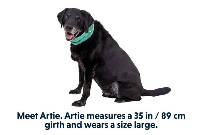 Охолоджуючий бафф на шию собаці Ruffwear Swamp Cooler™ S Бірюзово-фіолетовий