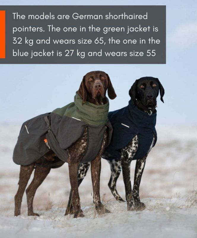 Вовняна куртка для собак Glacier wool jacket 2.0 Non-stop dogwear Зелений/Сірий 33