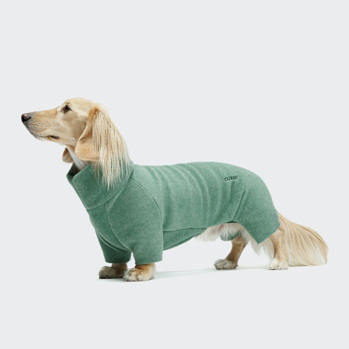 Светр для такс і схожих порід собак Cloud7 Cornwall Dachshund Зелений 2