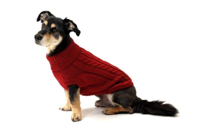 В'язаний светр для собаки Wolters Cable Knit з візерунком коси 40 см Червоний