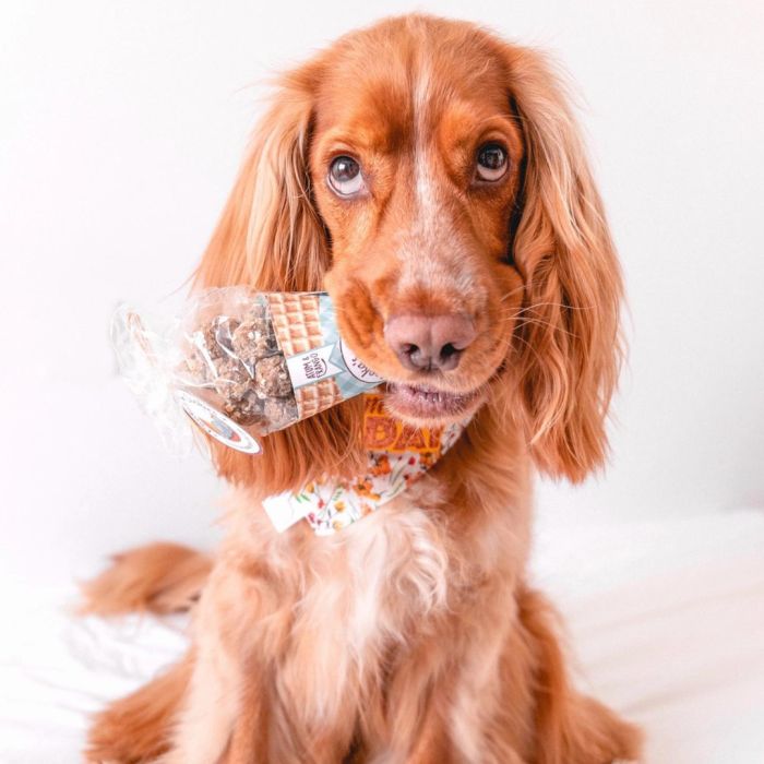 Натуральні ласощі для собак Cooka's Cookies Beijinhos Курка з тунцем, морквою та насінням 50 г