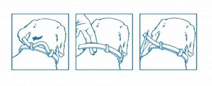 Форесто  Foresto) - нашийник від бліх і кліщів, Bayer 70см