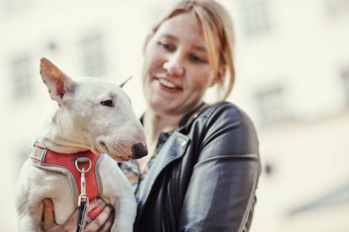 Шлейка для собак пом'якшена з ручкою Hurtta Venture No-Pull 40-45 см Кораловий