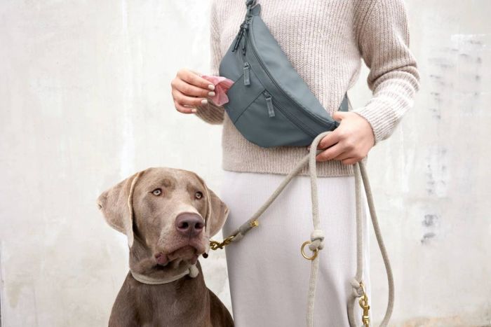 Сумка-бананка для ласощів та аксесуарів собак Palopa Emma Темно-сірий