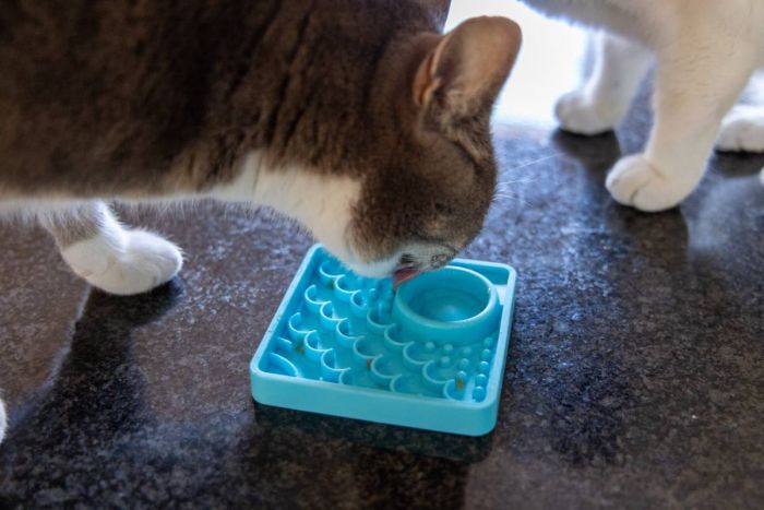 Лизальний килимок антистрес для кошенят LickiMat Kitty Turquoise