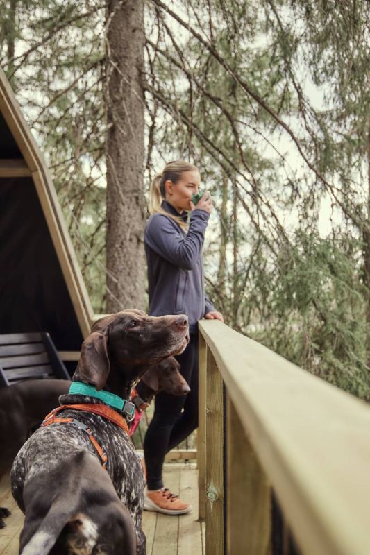 Нашийник для собак Hurtta Casual ECO 45-55 Бірюзовий