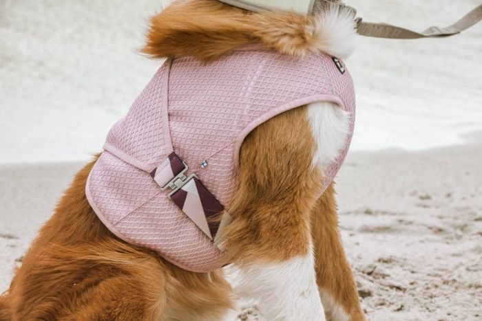 Охолоджуючий жилет для собак Hurtta Cooling Wrap 55-65 см Рожевий