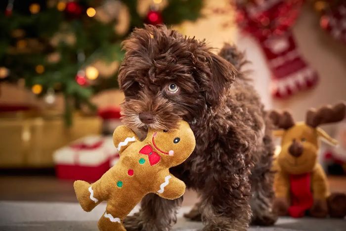 М'яка іграшка для собак Wolters Кендімен 18 см без звуку