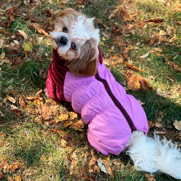 Комбінезон Шарм велсофт (дівчинка) М