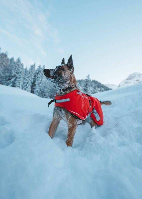 Куртка для собак Long distance Non-stop dogwear Червоний S