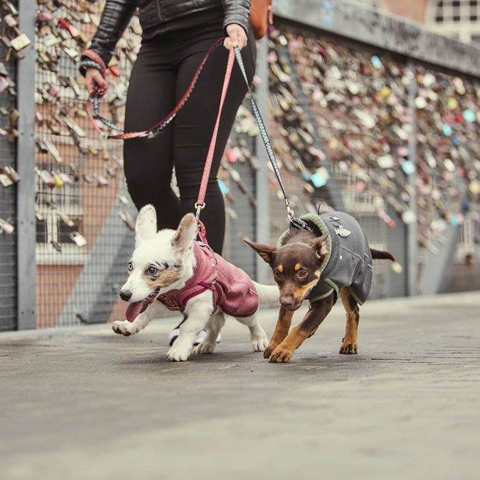 Флісова куртка для собак Hurtta Razzle-Dazzle Midlayer 25 Рожевий