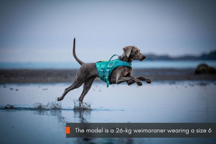 Рятувальний жилет для собак Protector life jacket Non-stop dogwear Бірюзовий 5