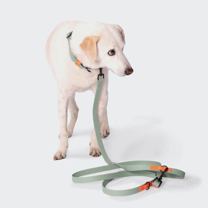 Повідець вільні руки для собак Cloud7 Hands-Free-Leash Ipanema М'ятний One Size