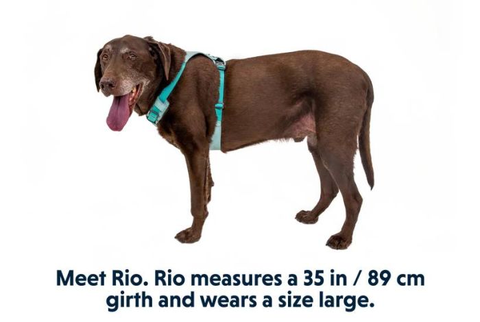 Полегшена шлейка для собак Ruffwear Hi & Light L/XL 81-107 см Зелений