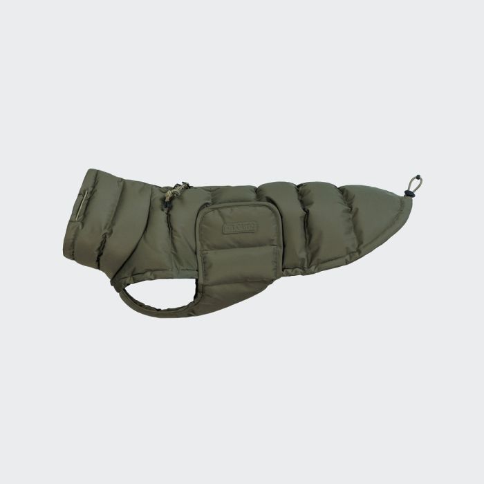 Утеплена куртка для такс і схожих порід собак Cloud7 Alaska Dachshund Оливковий 4