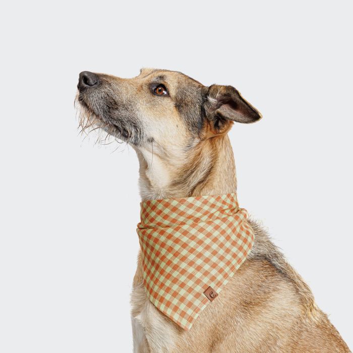Бандана для собак Cloud7 Check Помаранчевий S