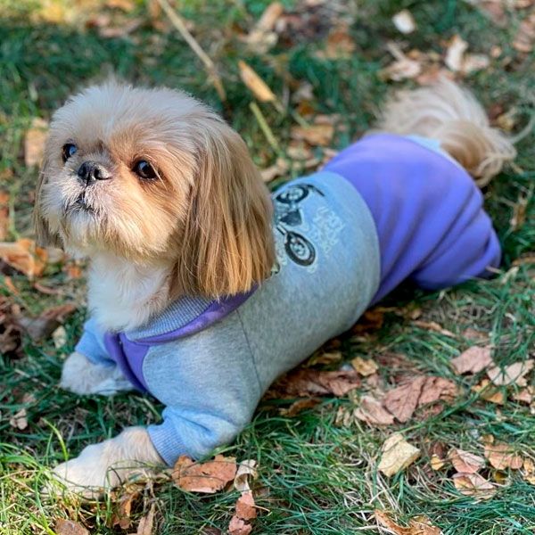 Комбінезон Байк трикотаж на флісі (хлопчик) S