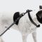 Повідець вільні руки для собак Cloud7 Hands-Free-Leash Ipanema Чорний One Size