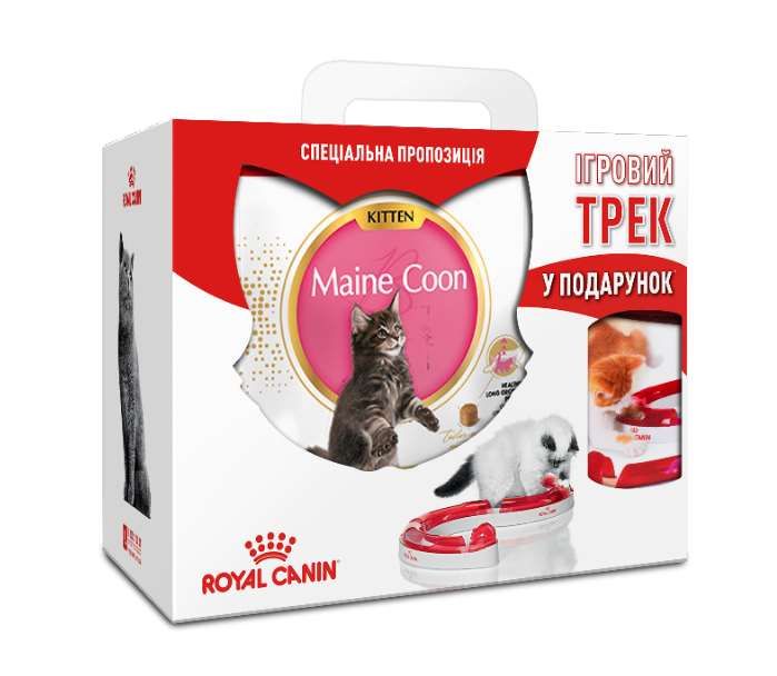 Акція сухий корм Royal Canin Maine coon Kitten 4кг в подарунок ігровий Трек 