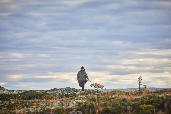 Світловідбивний жилет Protector vest GPS Non-stop dogwear Помаранчевий XL