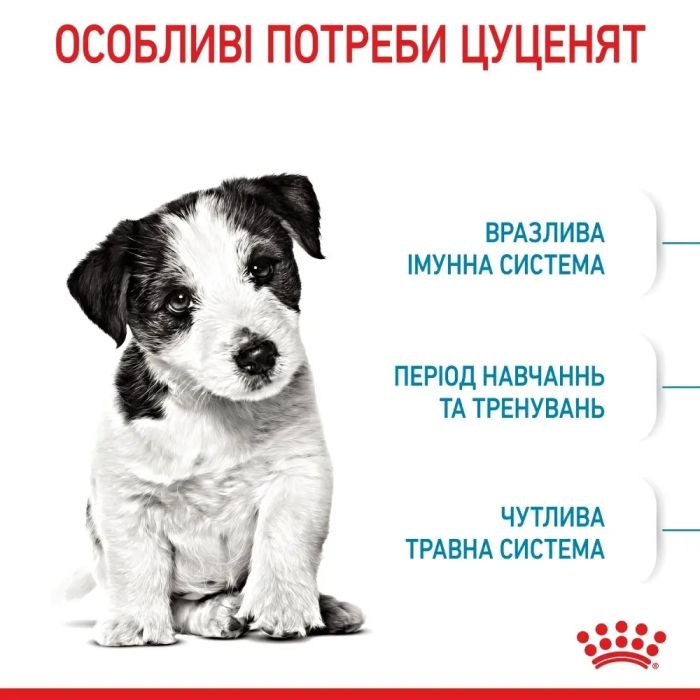 АКЦІЯ Royal Canin Mini Puppy набір корму для цуценят 2 кг + 4 паучі 