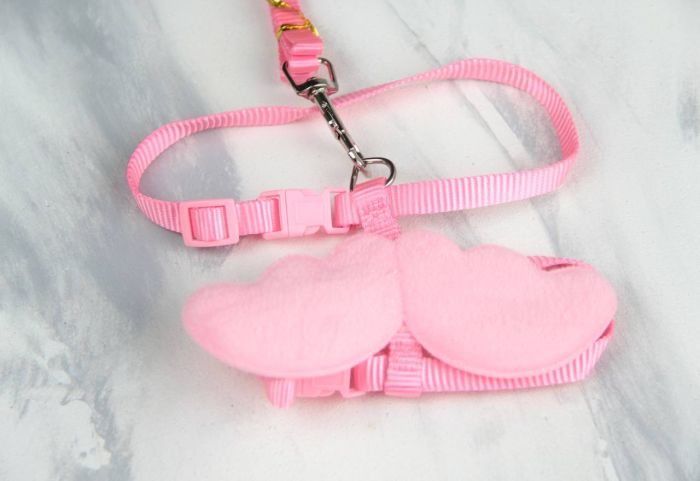 Комплект шлея + Повідець з крильцями стрічка Обєм грудей 30-40 см