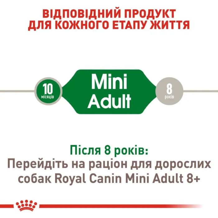 АКЦІЯ Royal Canin Mini Adult Набір кормів для собак малих порід 2 кг + 4 паучі 