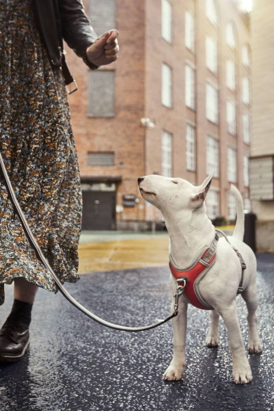 Шлейка для собак пом'якшена з ручкою Hurtta Venture No-Pull 40-45 см Кораловий