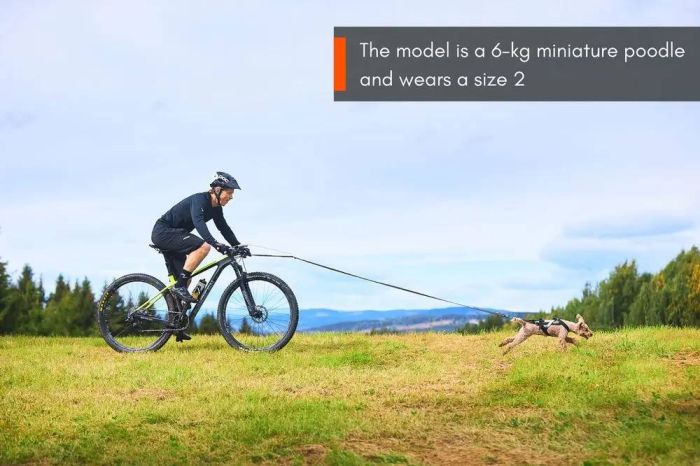 Шлейка для собак Freemotion harness Non-stop dogwear Чорний 7