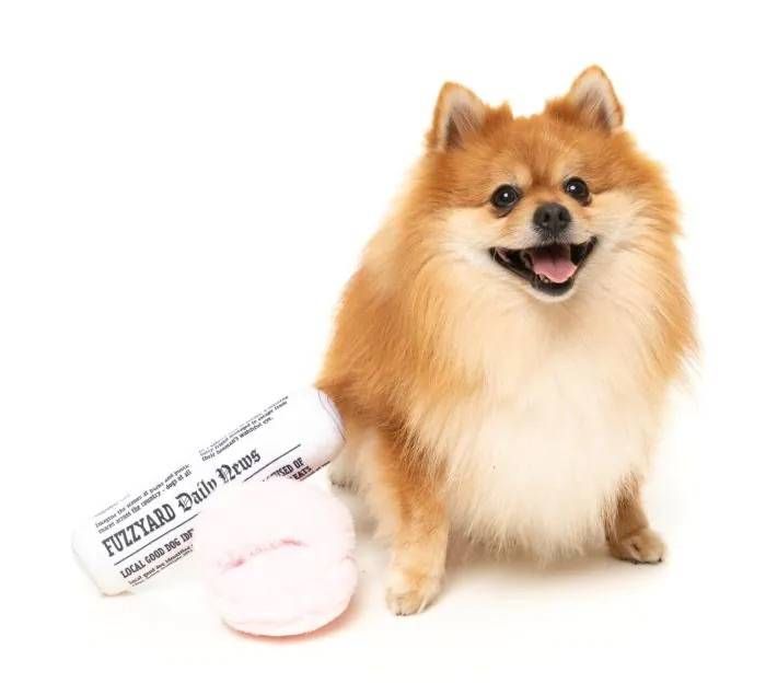 Набір м'яких іграшок для собак FuzzYard Несіть тапки та пресу!