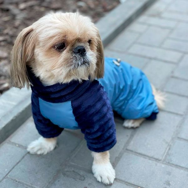 Комбінезон Шарм велсофт (хлопчик) L