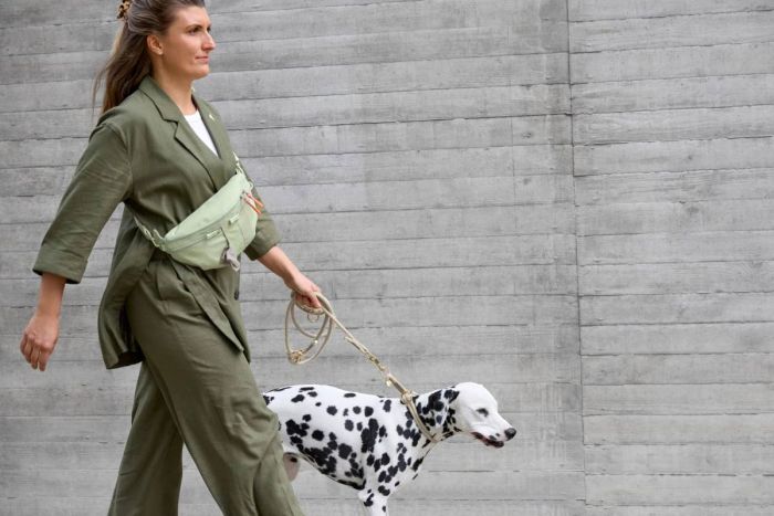 Поясна сумка-бананка для ласощів та аксесуарів собак Palopa Emma Хакі