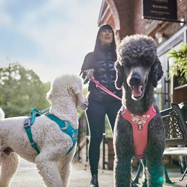 Шлейка для собак пом'якшена Hurtta Weekend Warrior 40-45 см Бірюзовий