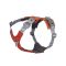 Шлейка для великих порід собак Hurtta Rover Harness Помаранчевий 65-80
