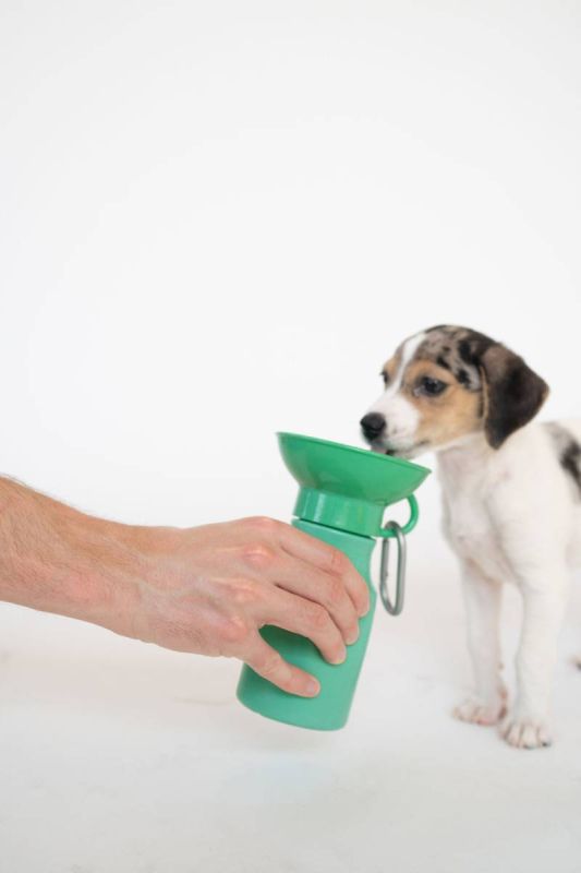 Пляшка-поїлка для собак Springland Зелений 450 мл
