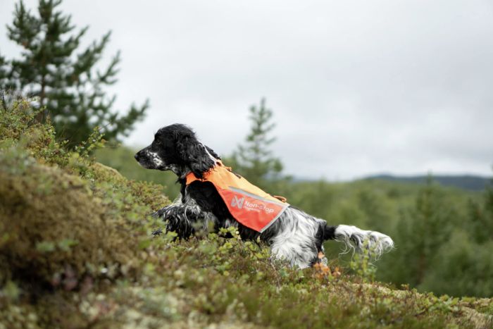 Жилет для собак Non-stop dogwear Protector vest 2.0 Помаранчевий 2XS