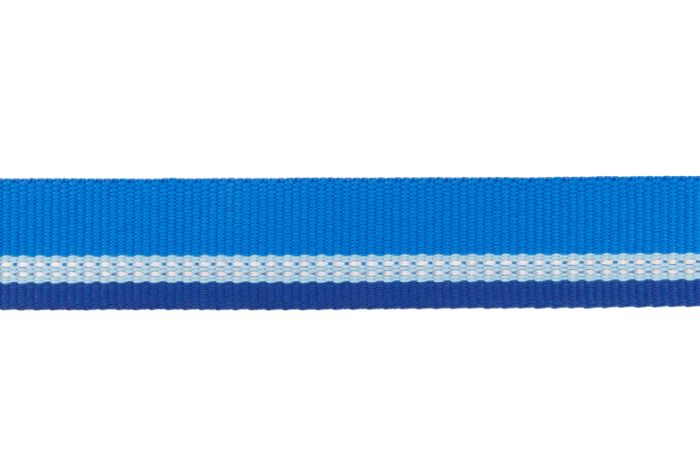 Посилений нашийник для собак зі світловідбивачем Ruffwear Top Rope™ 51-66 см Блакитний