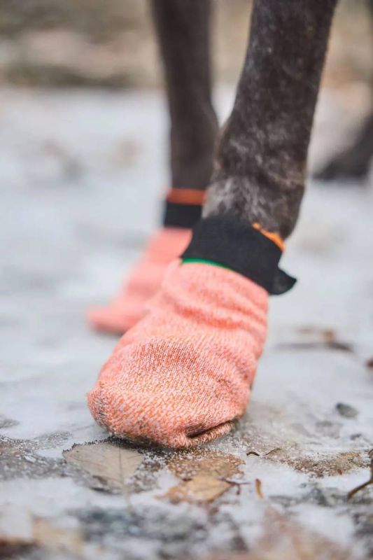 Шкарпетки для собак Protector light socks Non-stop dogwear Помаранчевий М 4 Шт.