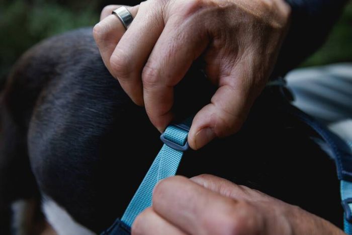 Полегшена шлейка для собак Ruffwear Hi & Light™ XXXS 23-33 см Сірий