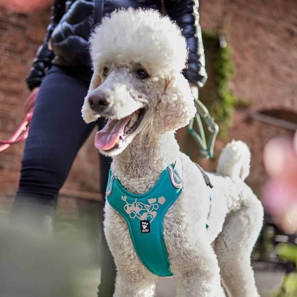 Шлейка для собак пом'якшена Hurtta Weekend Warrior 45-60 см Бірюзовий