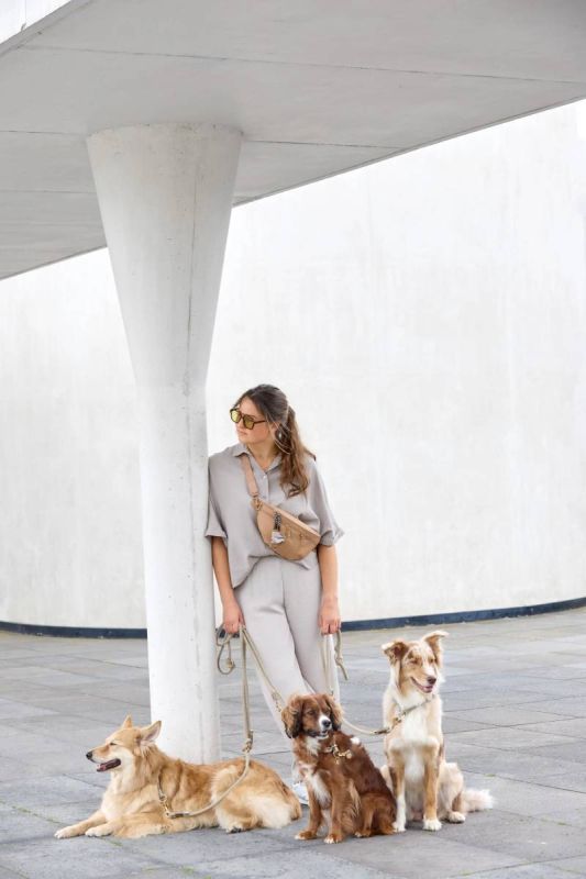 Сумка-бананка для ласощів та аксесуарів собак Palopa Emma Бежевий