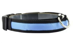 Нашийник Світиться USB нейлон, L (2,5 см41-52 см) блакитний