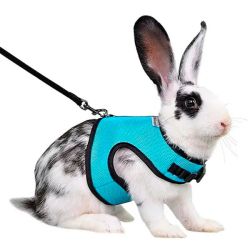 Шлейка з повідком для гризунів мятна 18-25 см 1,2 м